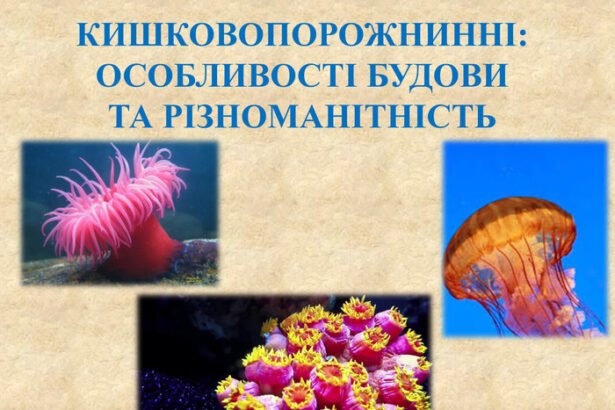 кишковопорожнинні