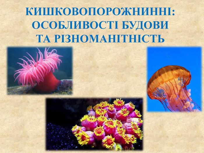 кишковопорожнинні