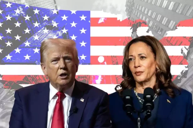 коли вибори в сша