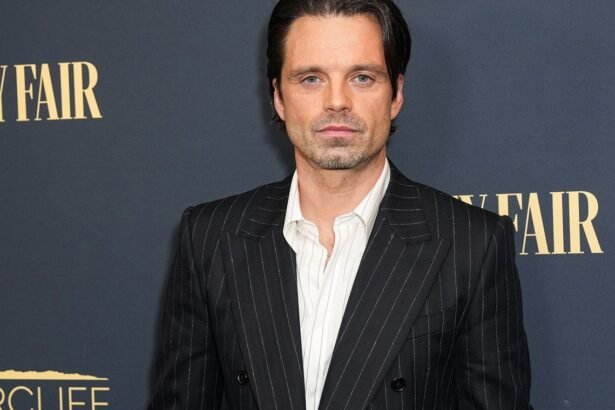 себастиан стэн