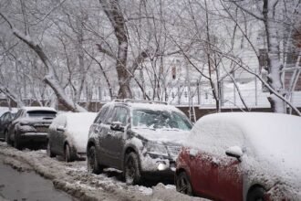 какая сейчас погода