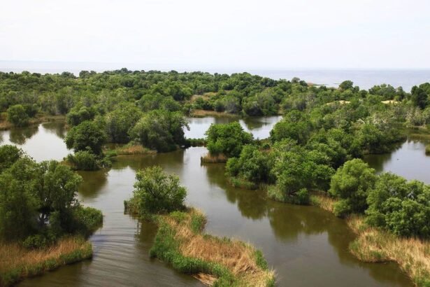 великий луг