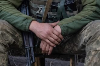 сзч відповідальність