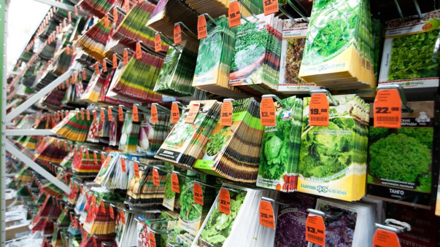 супермаркет семян